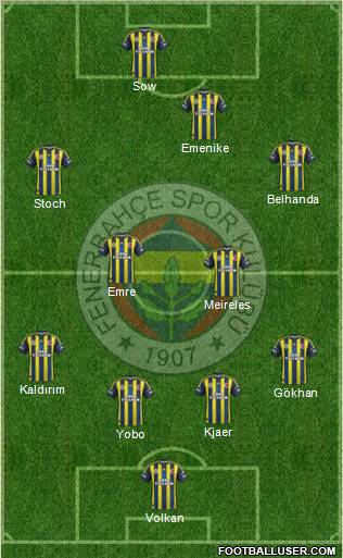 Fenerbahçe SK Formation 2013