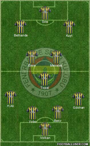 Fenerbahçe SK Formation 2013