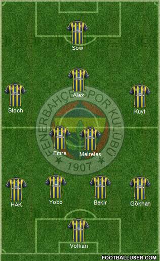 Fenerbahçe SK Formation 2013