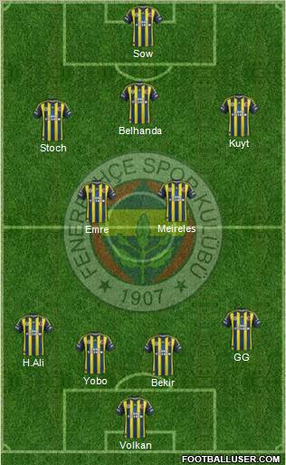 Fenerbahçe SK Formation 2013