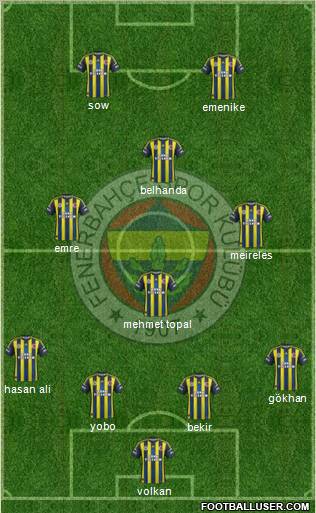 Fenerbahçe SK Formation 2013