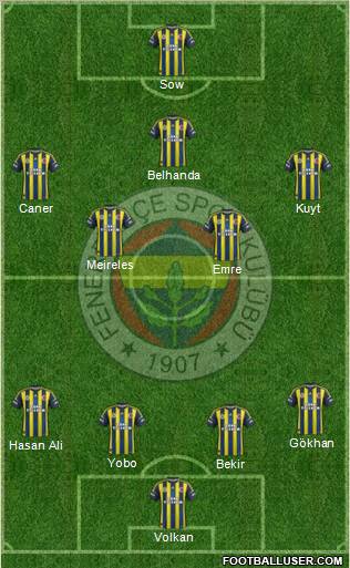 Fenerbahçe SK Formation 2013