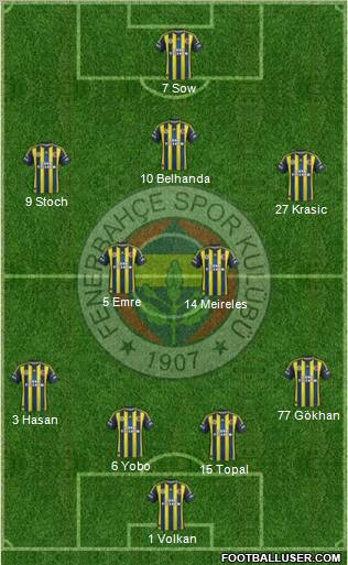 Fenerbahçe SK Formation 2013