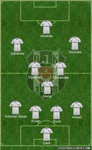 Besiktas JK Formation 2013