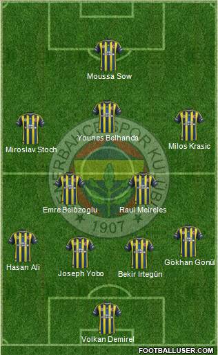 Fenerbahçe SK Formation 2013