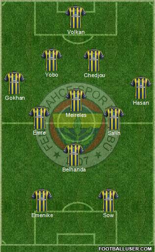 Fenerbahçe SK Formation 2013