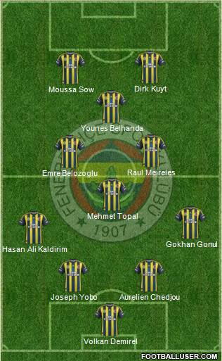 Fenerbahçe SK Formation 2013