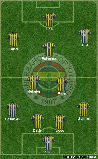 Fenerbahçe SK Formation 2013