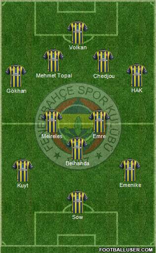 Fenerbahçe SK Formation 2013