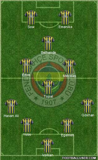 Fenerbahçe SK Formation 2013