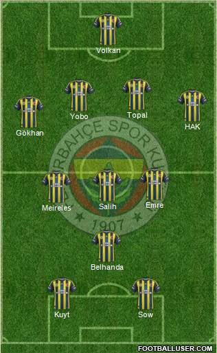 Fenerbahçe SK Formation 2013