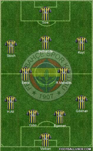 Fenerbahçe SK Formation 2013