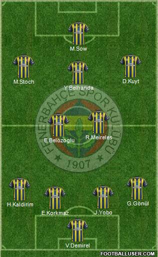Fenerbahçe SK Formation 2013
