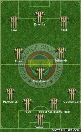 Fenerbahçe SK Formation 2013