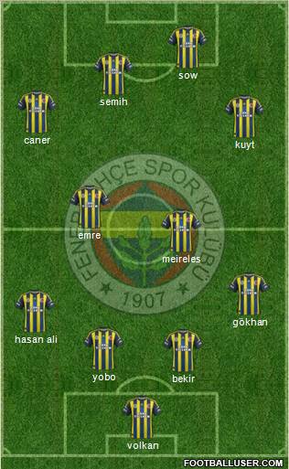 Fenerbahçe SK Formation 2013