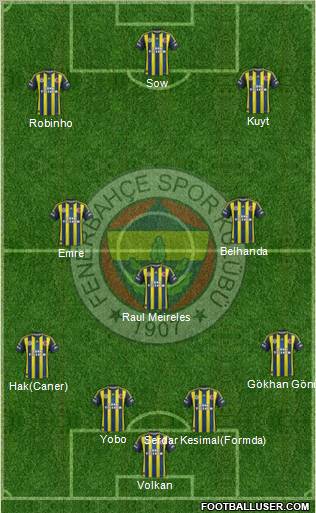 Fenerbahçe SK Formation 2013