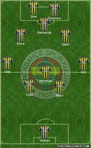 Fenerbahçe SK Formation 2013