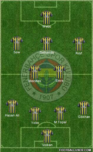 Fenerbahçe SK Formation 2013