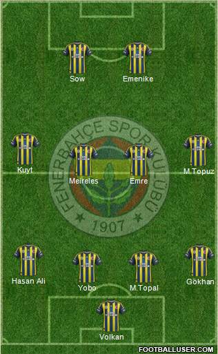 Fenerbahçe SK Formation 2013