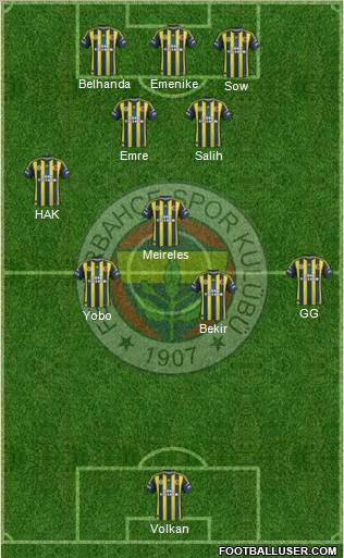 Fenerbahçe SK Formation 2013