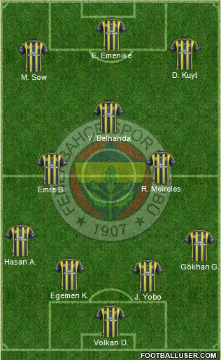 Fenerbahçe SK Formation 2013