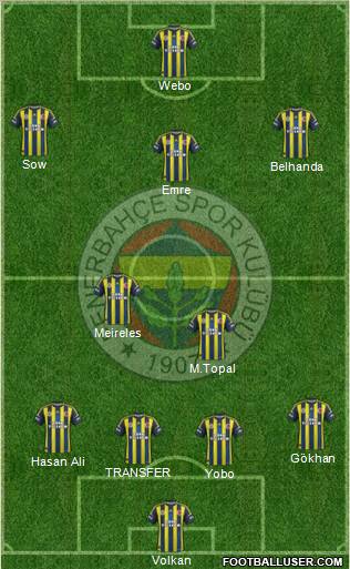 Fenerbahçe SK Formation 2013