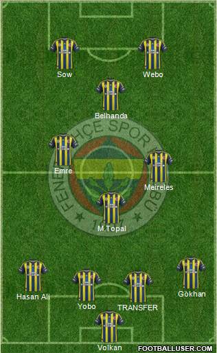 Fenerbahçe SK Formation 2013
