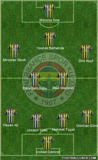 Fenerbahçe SK Formation 2013
