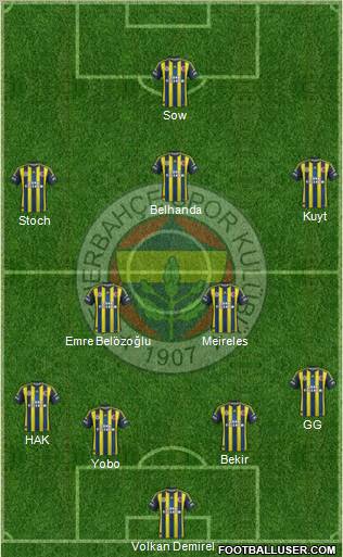 Fenerbahçe SK Formation 2013