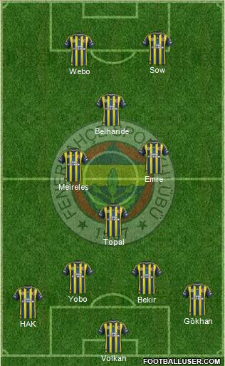 Fenerbahçe SK Formation 2013
