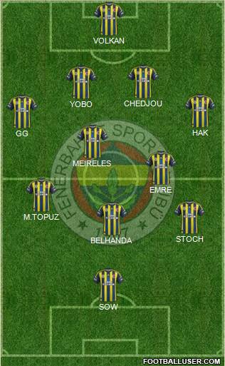 Fenerbahçe SK Formation 2013