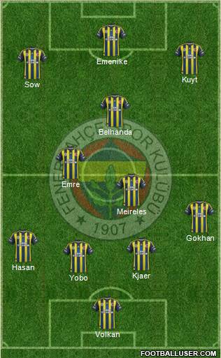 Fenerbahçe SK Formation 2013