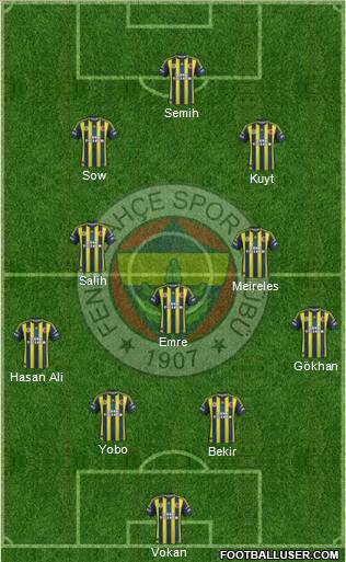 Fenerbahçe SK Formation 2013