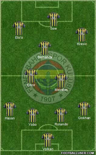 Fenerbahçe SK Formation 2013