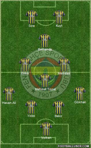 Fenerbahçe SK Formation 2013