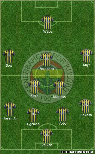 Fenerbahçe SK Formation 2013