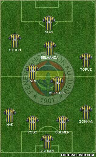 Fenerbahçe SK Formation 2013