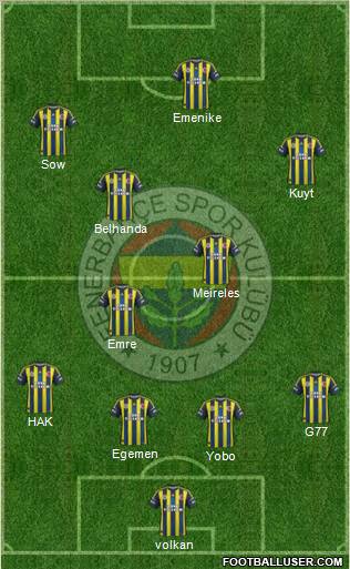 Fenerbahçe SK Formation 2013