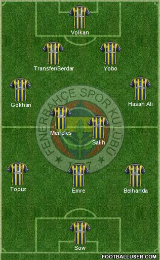 Fenerbahçe SK Formation 2013