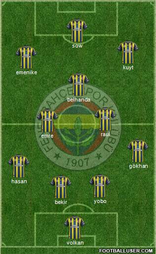 Fenerbahçe SK Formation 2013