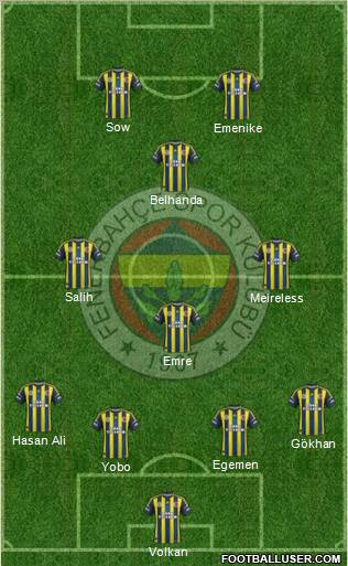 Fenerbahçe SK Formation 2013