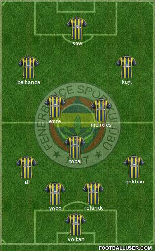 Fenerbahçe SK Formation 2013