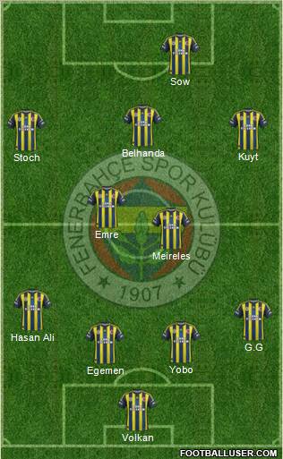 Fenerbahçe SK Formation 2013