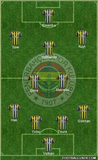 Fenerbahçe SK Formation 2013