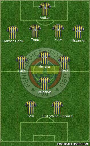 Fenerbahçe SK Formation 2013