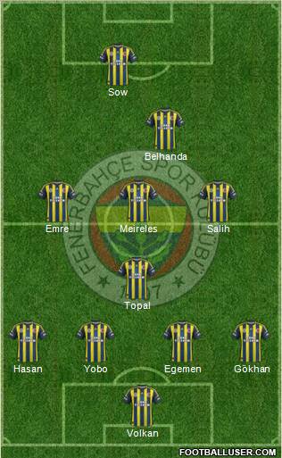 Fenerbahçe SK Formation 2013