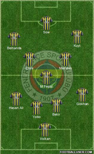 Fenerbahçe SK Formation 2013