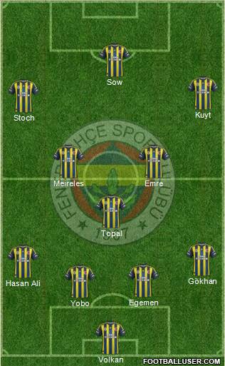 Fenerbahçe SK Formation 2013