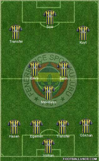 Fenerbahçe SK Formation 2013