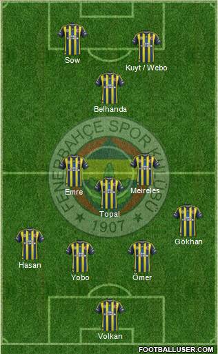 Fenerbahçe SK Formation 2013